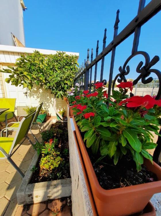 Apartments Dalmatia Grebaštica Exterior foto